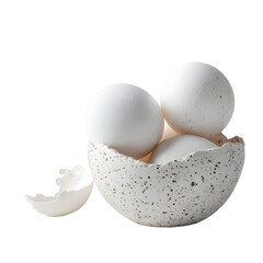 Brocken egg shell with two eggs on transparent background