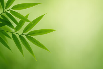 Fototapeta premium Growth and development are symbolized by slender bamboo leaves with clear veins stretching into a smooth green backdrop evoking balance and renewal in a professional context