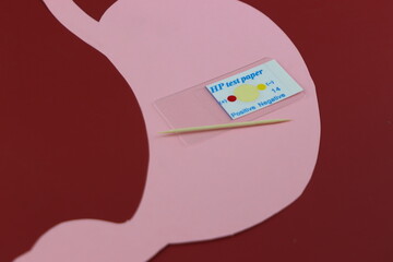 helicobacter pylori Test. Fast test to detect a stomach bacteria called helicobacter pylori