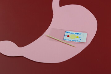 helicobacter pylori Test. Fast test to detect a stomach bacteria called helicobacter pylori