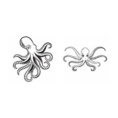 line art of animal of octopus bundle on the white background 