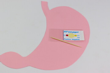 helicobacter pylori Test. Fast test to detect a stomach bacteria called helicobacter pylori