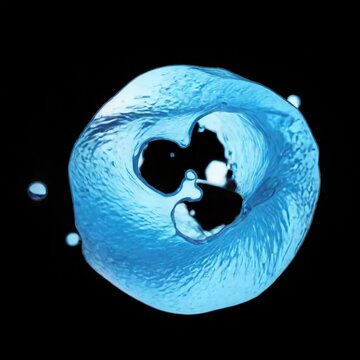 Water Splash &ndash; 3D Liquid Motion Animation