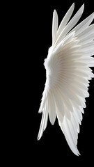 White angel wings isolated on black background Dimensional model rendered asset Angled side view bir