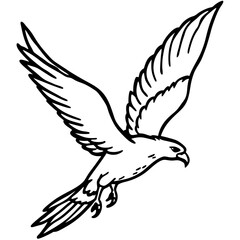 Bird of Prey Diving with Wings Extended – Sketch Illustration