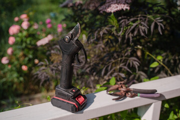 Gardener's set in the form of various pruning shears. Garden tools for pruning plants. Garden electric pruner or battery pruner. A tool for pruning plants with a rechargeable battery.