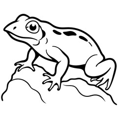 Naklejka premium Amphibian Crawling Over Rock in Side View – Outline Illustration