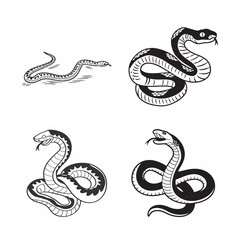 Obraz premium line art of snake bundle on the white background