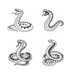 Fototapeta premium line art of snake bundle on the white background
