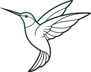 white hummingbird  isolated on white