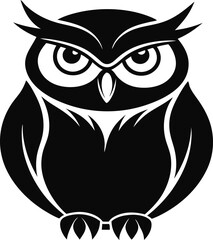 owl on white background