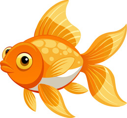 gold fish isolated on white background