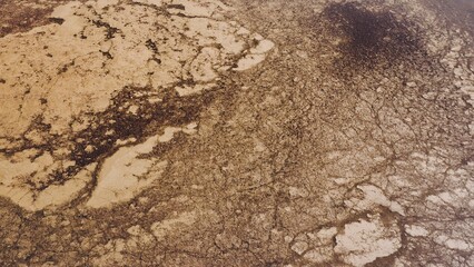 Aerial view of two birds flying over drying wetlands.