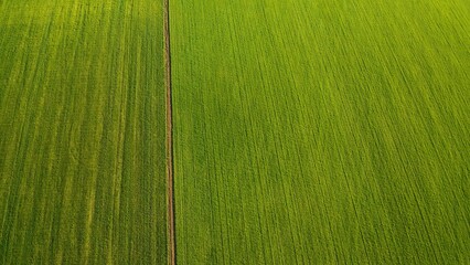 Aerial view from flying drone at green field.