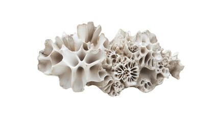 Raw zeolite cluster with radiating patterns, Transparent background, PNG file