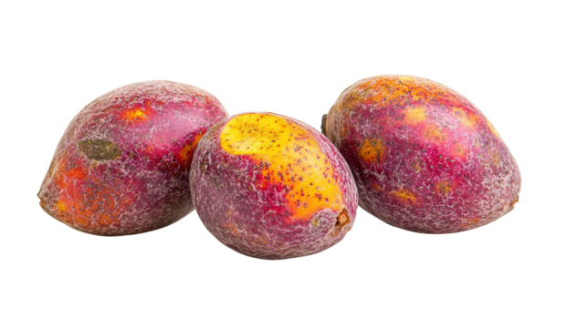 Pouteria caimito fruit from Amazon Transparent background, PNG file