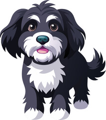 Portuguese Water Dog