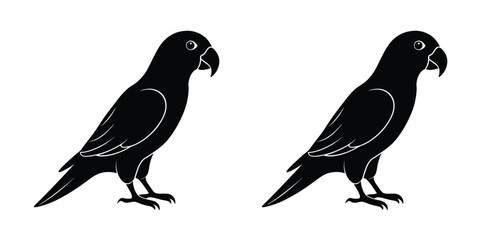 Side View of Eclectus Parrot Flat Silhouette on White Background