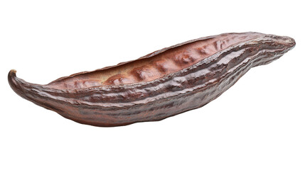 Rare Theobroma cacao pod Transparent background, PNG file