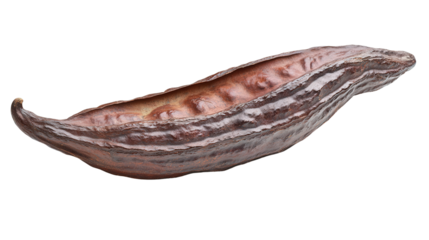Rare Theobroma cacao pod Transparent background, PNG file