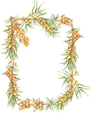 Watercolor Frame Illustration of Sea Buckthorn Branch, agriculture autumn berry border