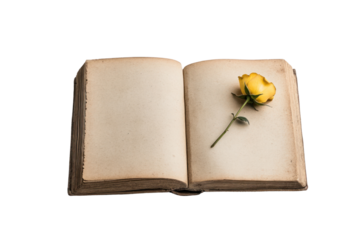 "A Rose and a Story: An open antique book reveals the elegance of a delicate rose nestled gently upon its aged pages, evoking a sense of timeless beauty and the stories within.