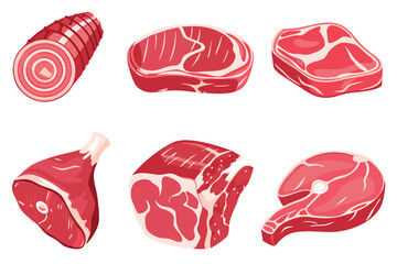 Various Cuts of Raw Meat Illustration on White Background