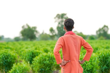 young indian farmer standing at green agricultural field