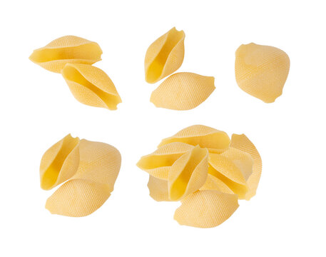 Raw conchiglioni pasta isolated. Dry conchiglie noodle in shell shape, big Italian macaroni