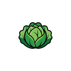 Vibrant Green Cabbage Illustration Fresh Vegetable Design