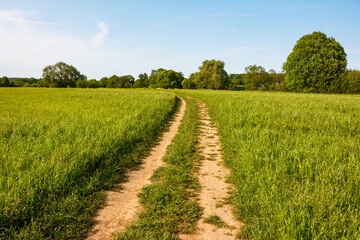 A well-trodden track through a farm field