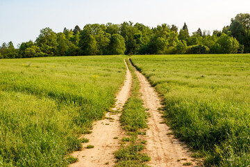 A well-trodden track through a farm field