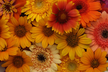 mixed flower bouquet of various types of flowers and colors