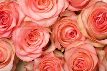 mixed flower bouquet of various types of flowers and colors