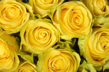 mixed flower bouquet of various types of flowers and colors