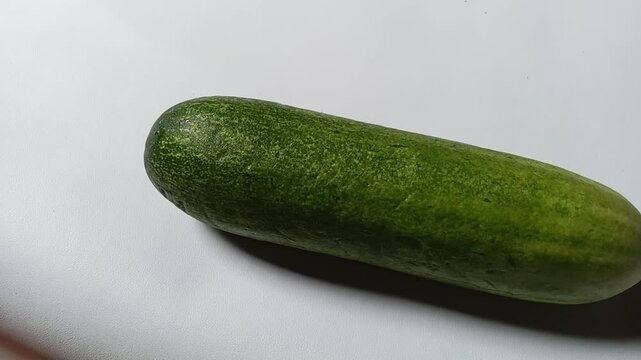 Cucumber (Cucumis sativus) is a plant that produces edible fruit.