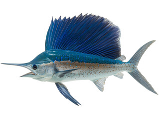 This image showcases the striking features of a sailfish, a symbol of speed and marine beauty.