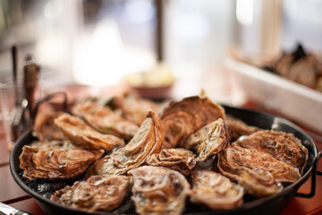 Fresh oysters on plate, elegant seafood appetizer presentation without lemon