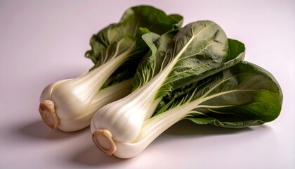 Fresh Bok Choy Two Heads of Healthy Green Vegetables Ready to Cook