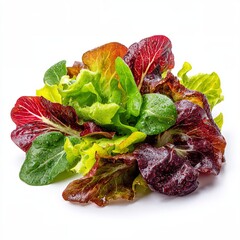 A vibrant mix of fresh, colorful salad leaves, ready for a healthy meal. The salad leaves showcase a variety of greens and reds, with some wet spots