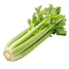Fototapeta premium celery isolated without background