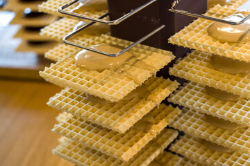 Chocolate served on a wafer, chocolate tasting experience.