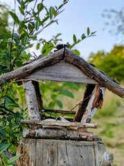 Rustic Wooden Bird Feeder in Garden Setting