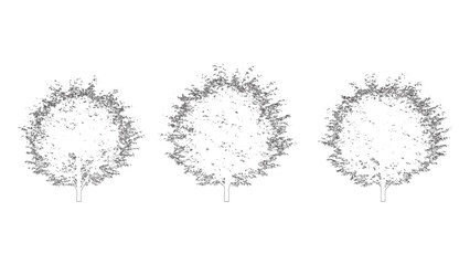 Three unique tree shapes with intricate linework and detailed leaves