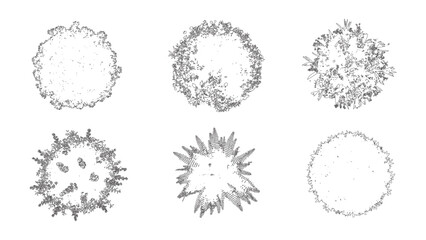 Vector Tree Top View Illustration with Leafy Foliage and Natural Patterns