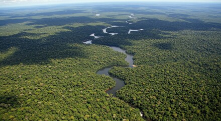 The Amazon Rainforest A Vast River Through Green Canopy