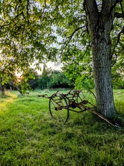  Old Farm Equipment under Tree in Summer Meadow
