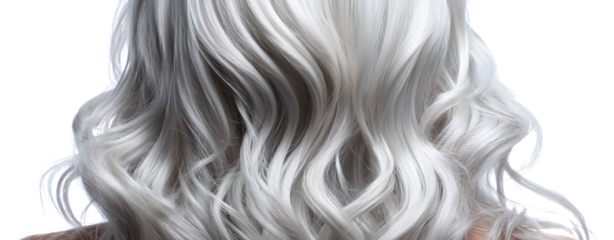 Silver hair volume reference, Medium wavy silver hair with soft layers and bounce, medium wavy silver hair isolated on white no face, medium wavy silver hair with metallic reflection texture. 