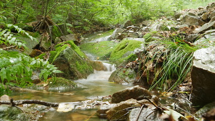 natural scenery inside Changbai mountain, north east China with stream inside forest