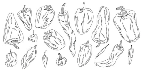 Large set of outline doodle illustrations of vegetable, garden, hot and bell peppers
